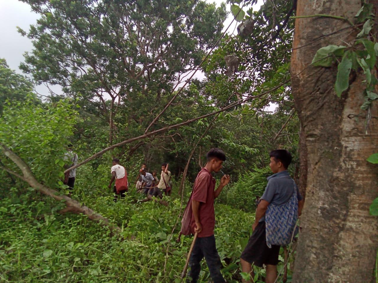 G:\VILLAGE REPORT PICTURES\JIRANG BLOCK\Belaheri\WhatsApp Image 2023-02-03 at 12.16.11.jpeg